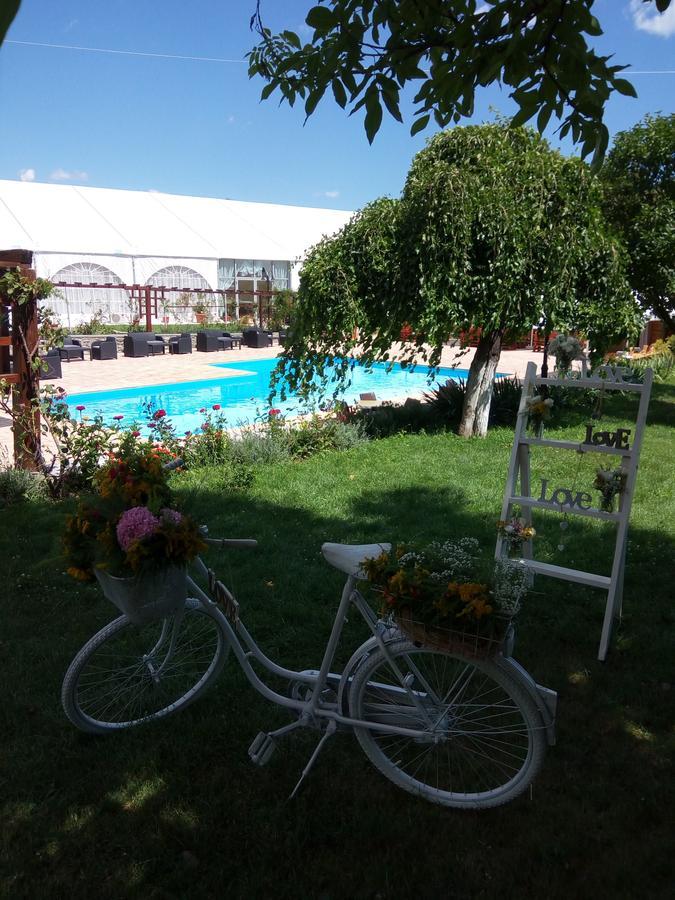 Hotel Casa Danielescu Târgu Jiu Exteriér fotografie
