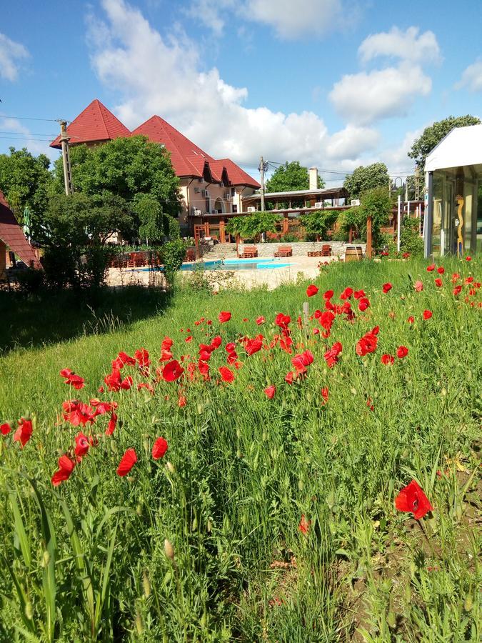 Hotel Casa Danielescu Târgu Jiu Exteriér fotografie