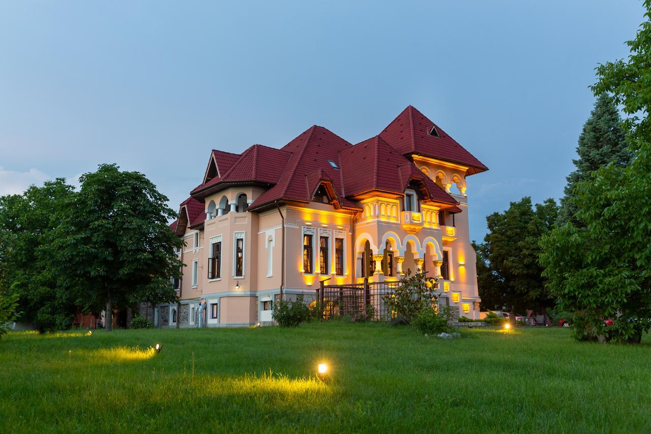 Hotel Casa Danielescu Târgu Jiu Exteriér fotografie